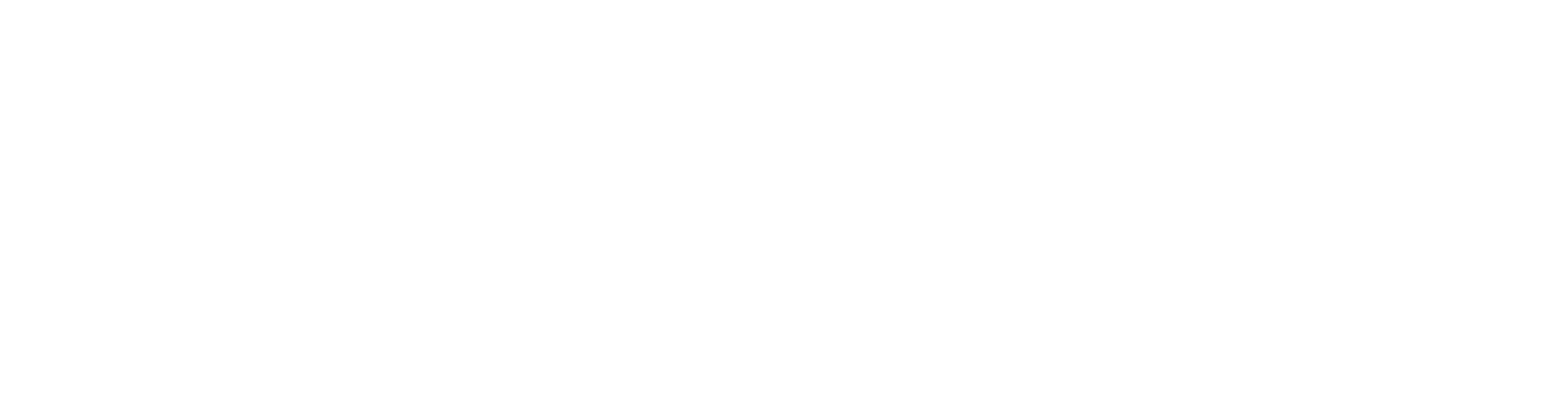ES_Financiado_por_la_Union_Europea_RGB_WHITE-1